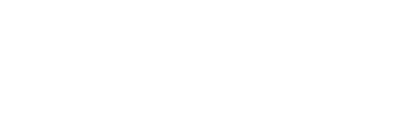 Fuller Insurance - Logo 800 White